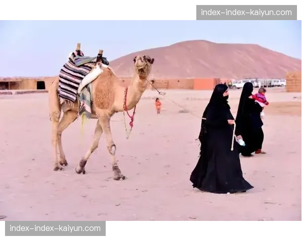 历史回顾：二十年前的今天，埃及队首夺非洲锦标赛冠军开启新时代